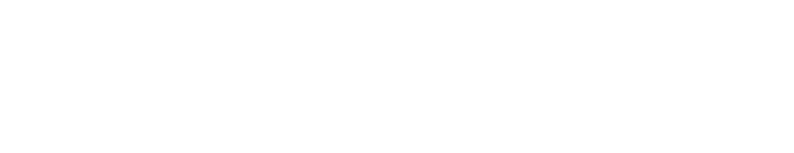 BLACK SNOW logo
