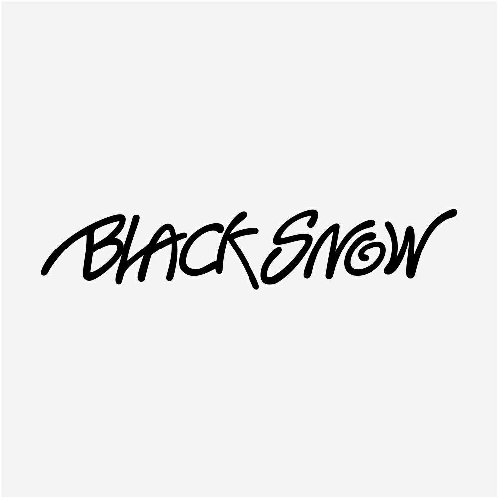 スノボウェア メンズ パンツ 単品 スノーボードウェア BLACKSNOW